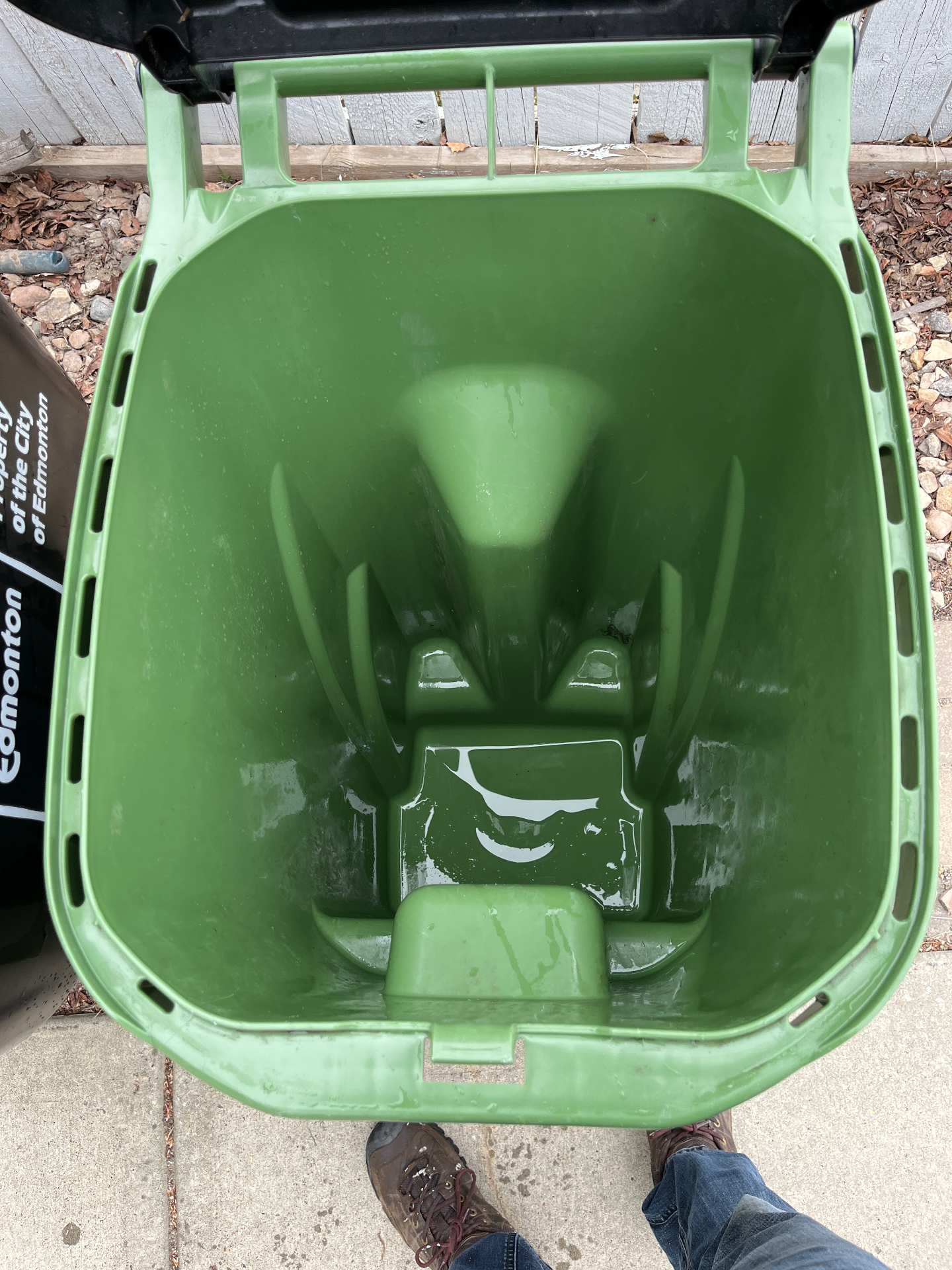 Clean garbage bin after professional washing